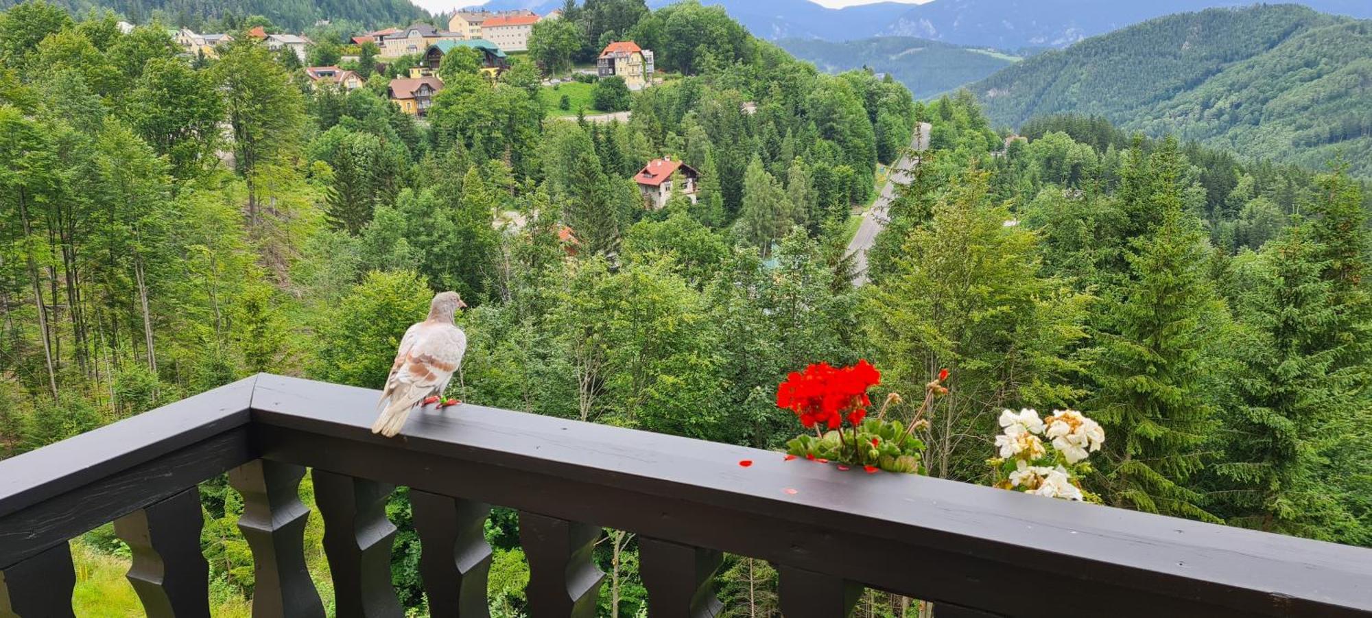 Kurhotel Renona Rehabilitation Semmering Exterior foto